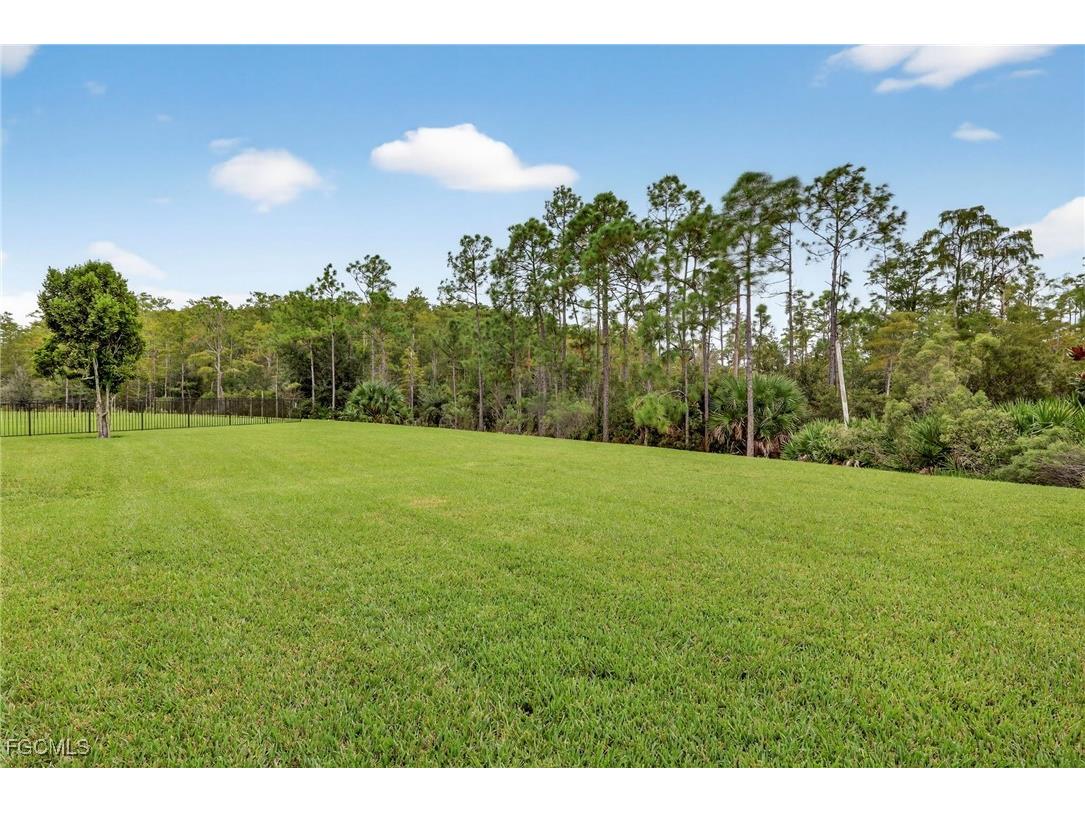 10168 Mimosa Silk Drive Fort Myers FL 33913 2025014690 image38