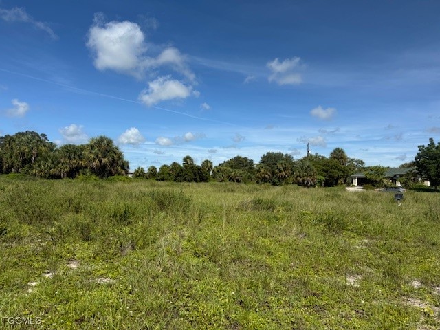 1017 Comet Avenue S Labelle FL 33935 2025005735 image1