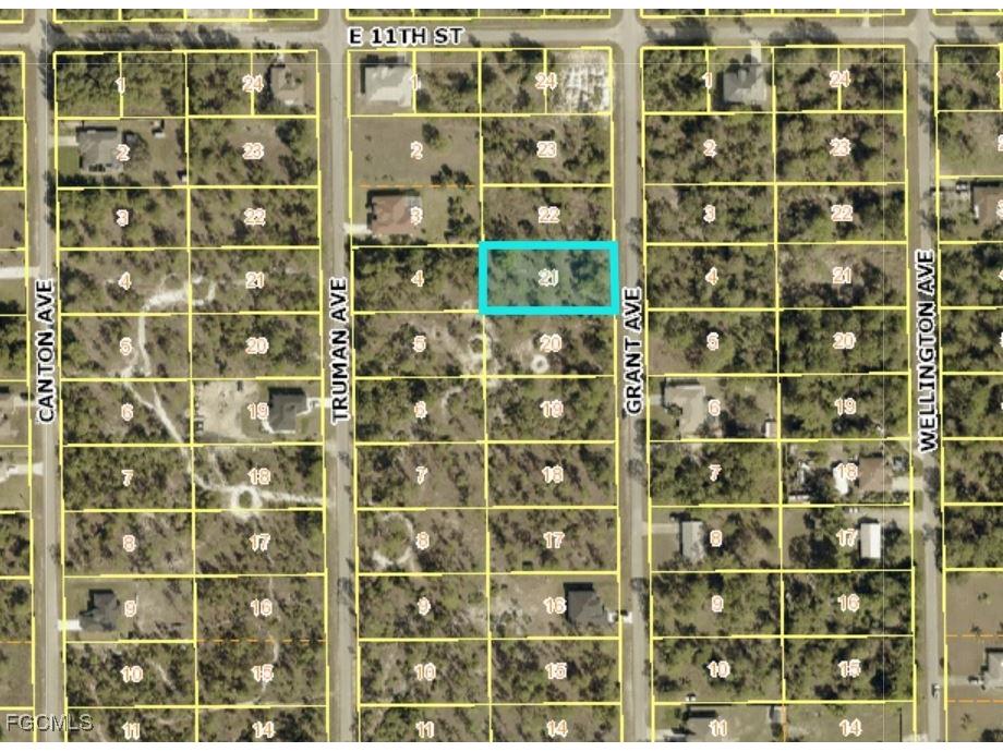 1017 Grant Avenue Lehigh Acres FL 33972 2025007057 image1
