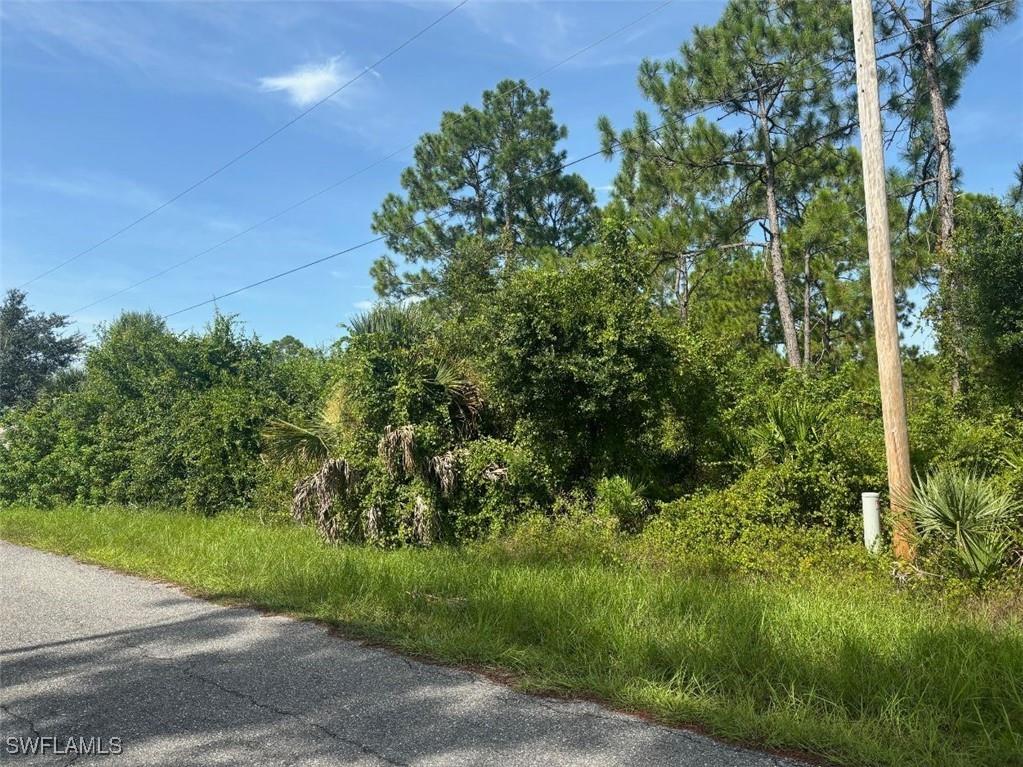 1017 Poinsettia Avenue Lehigh Acres FL 33972 224064929 image1