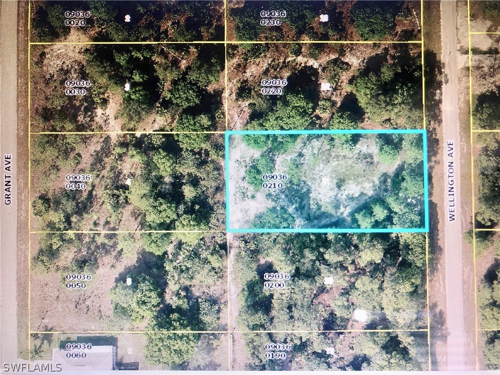 1017 Wellington Avenue Lehigh Acres FL 33972 224051991 image1