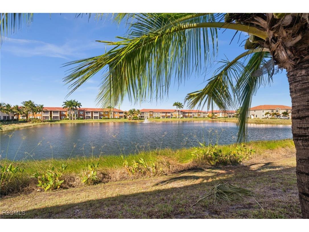 10173 Via Colomba Circle Fort Myers FL 33966 2025019999 image3