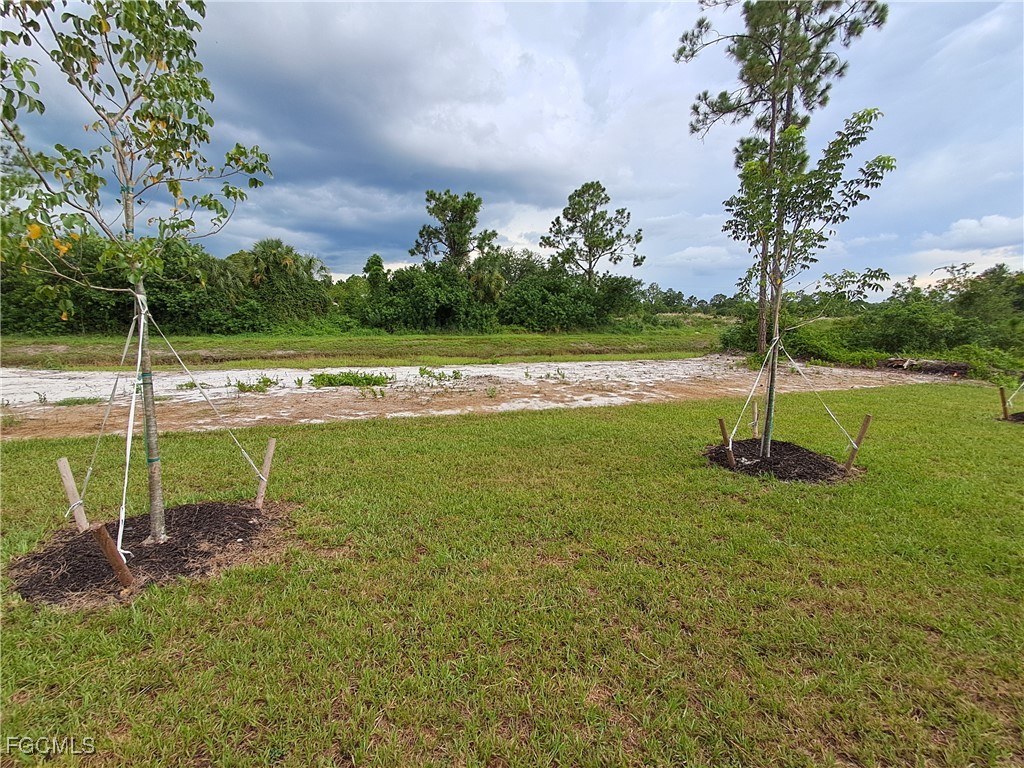 1018 Fayette Avenue Lehigh Acres FL 33974 2025007015 image4