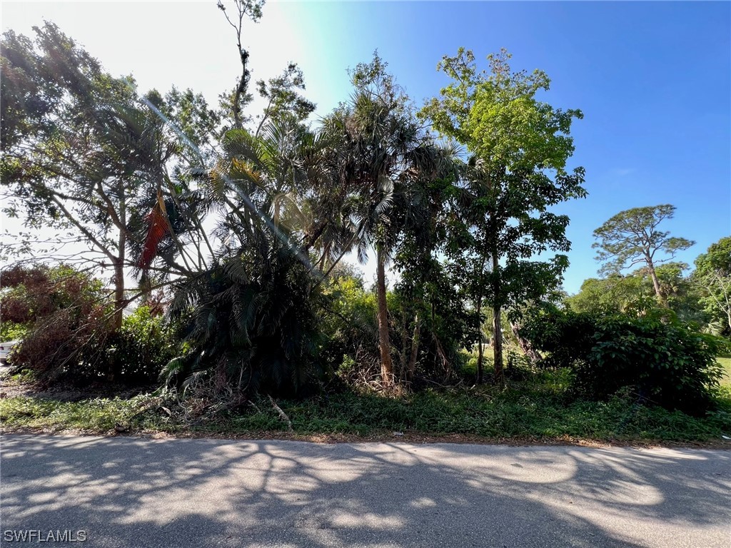 10186 Carolina Street Bonita Springs FL 34135 223020206 image1