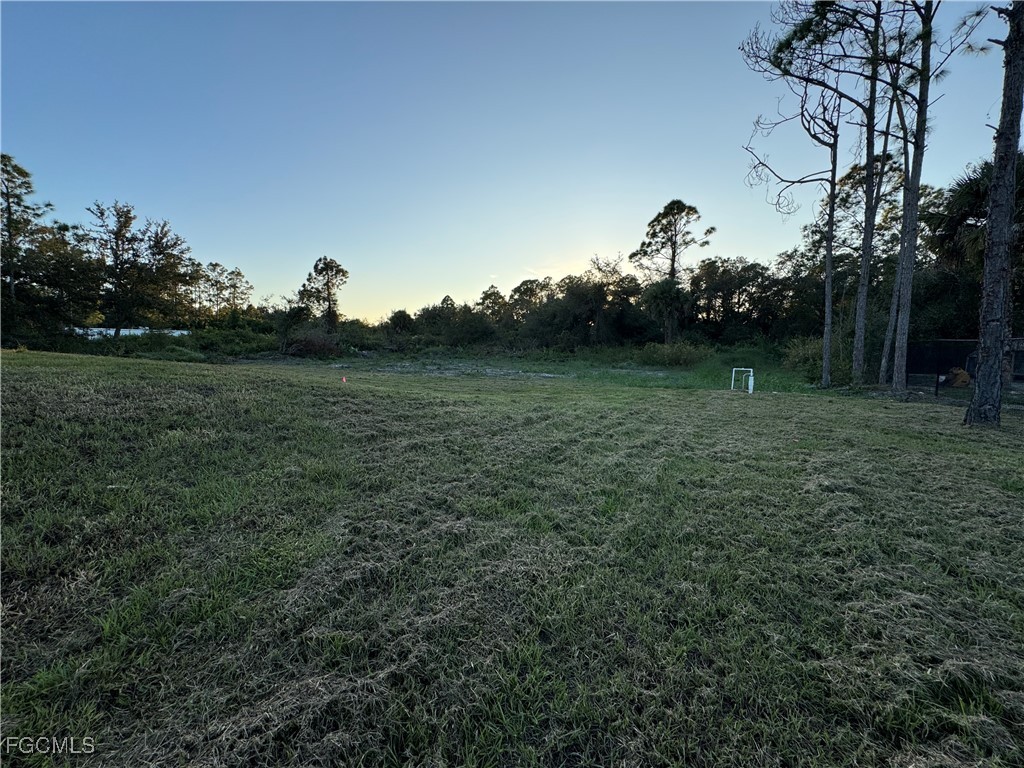 1019 Greenwood Avenue Lehigh Acres FL 33972 2025019582 image42