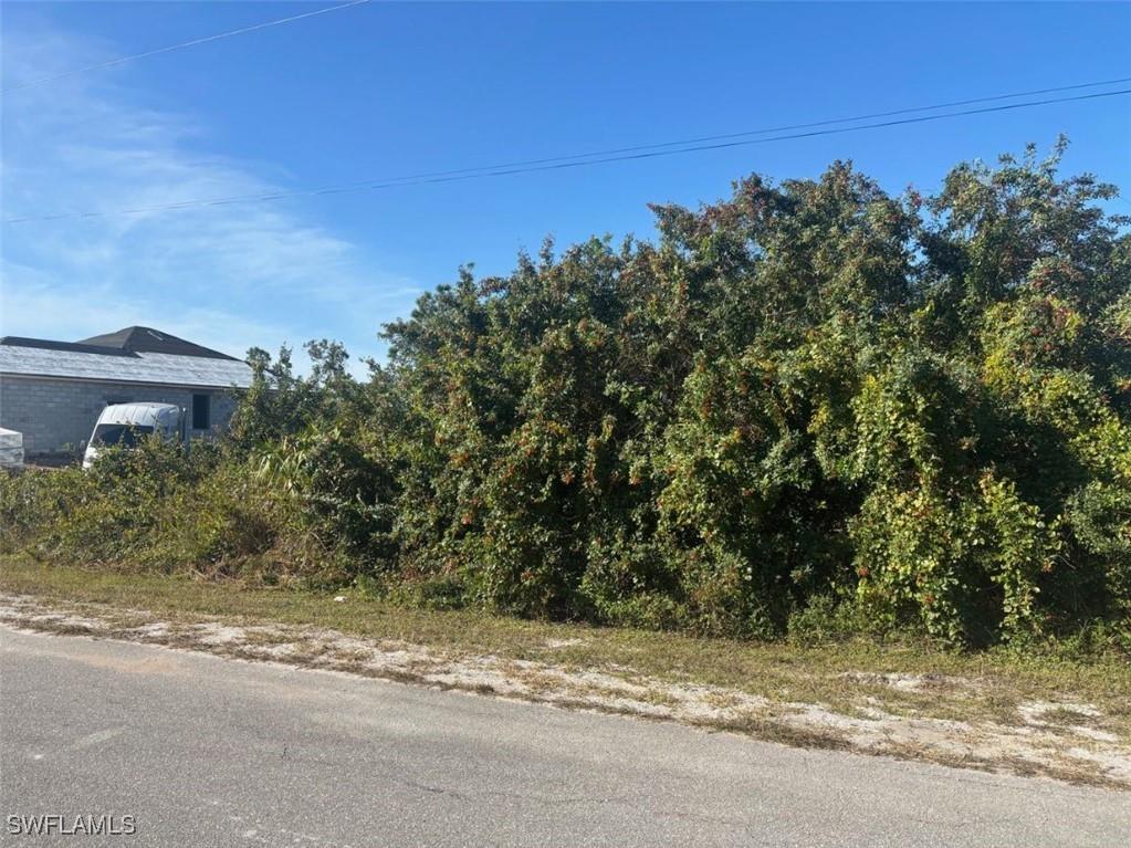 1019 Pine Avenue Lehigh Acres FL 33972 224098520 image1