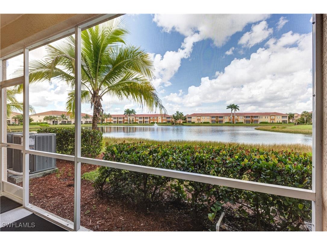 10193 Via Colomba Circle Fort Myers FL 33966 225065746 image8