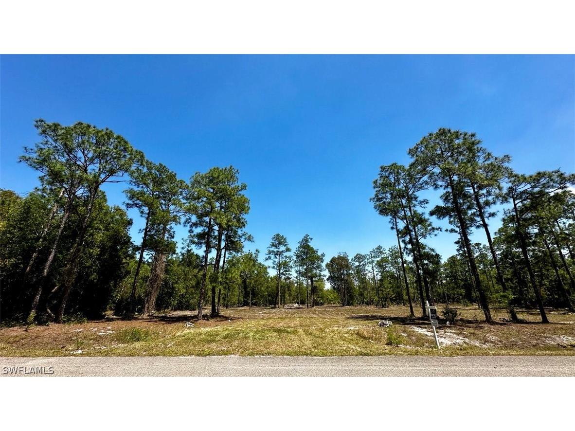 102 Leroy Avenue Lehigh Acres FL 33936 224012845 image1