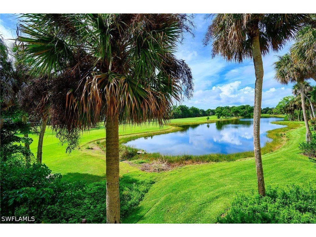 102 Wilderness Drive #2114 Naples FL 34105 226020875 image23