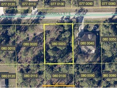 1020 Carroll Street E Lehigh Acres FL 33974 223040641 image1