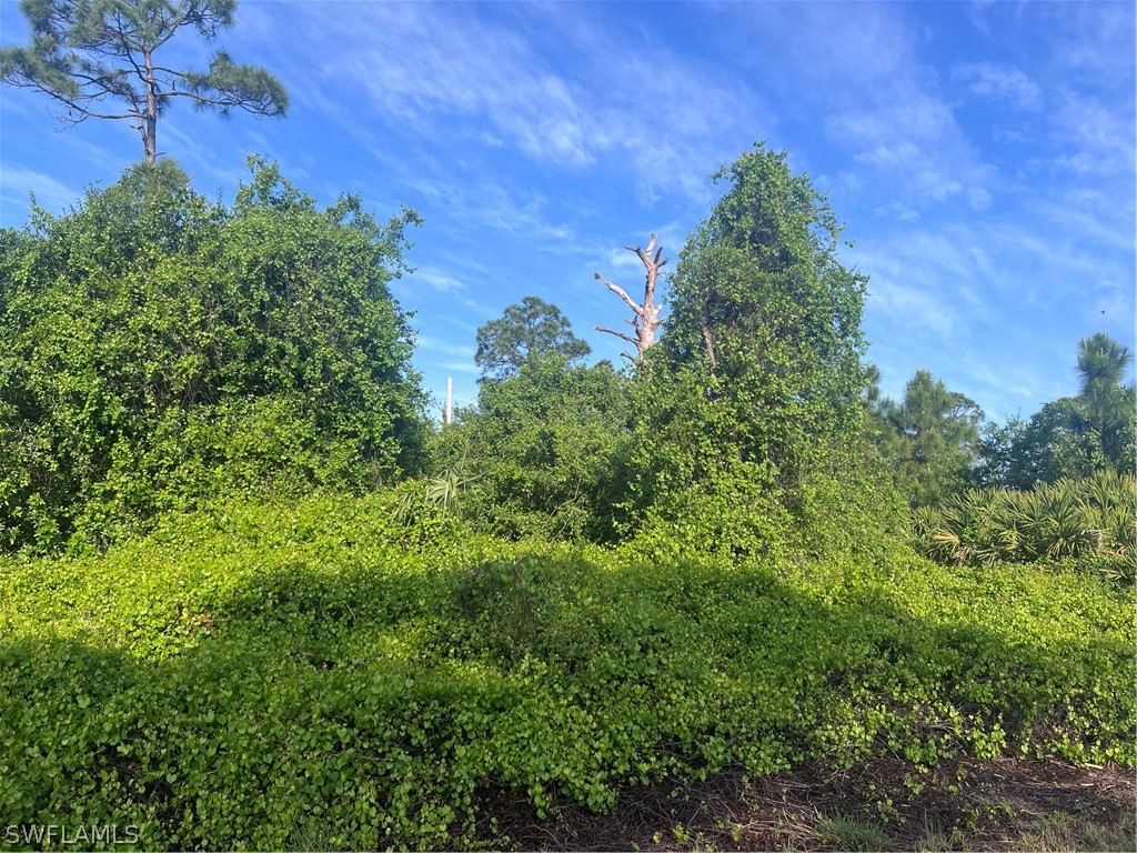 1020 Maxwell Avenue S Lehigh Acres FL 33974 224031550 image1