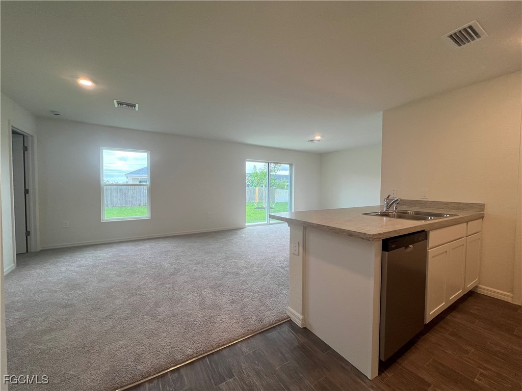 1020 NW 12th Terrace Cape Coral FL 33993 224070597 image3