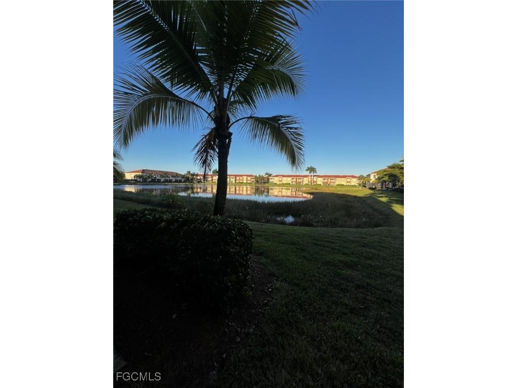 10201 Via Colomba Circle Fort Myers FL 33966 2025016084 image18