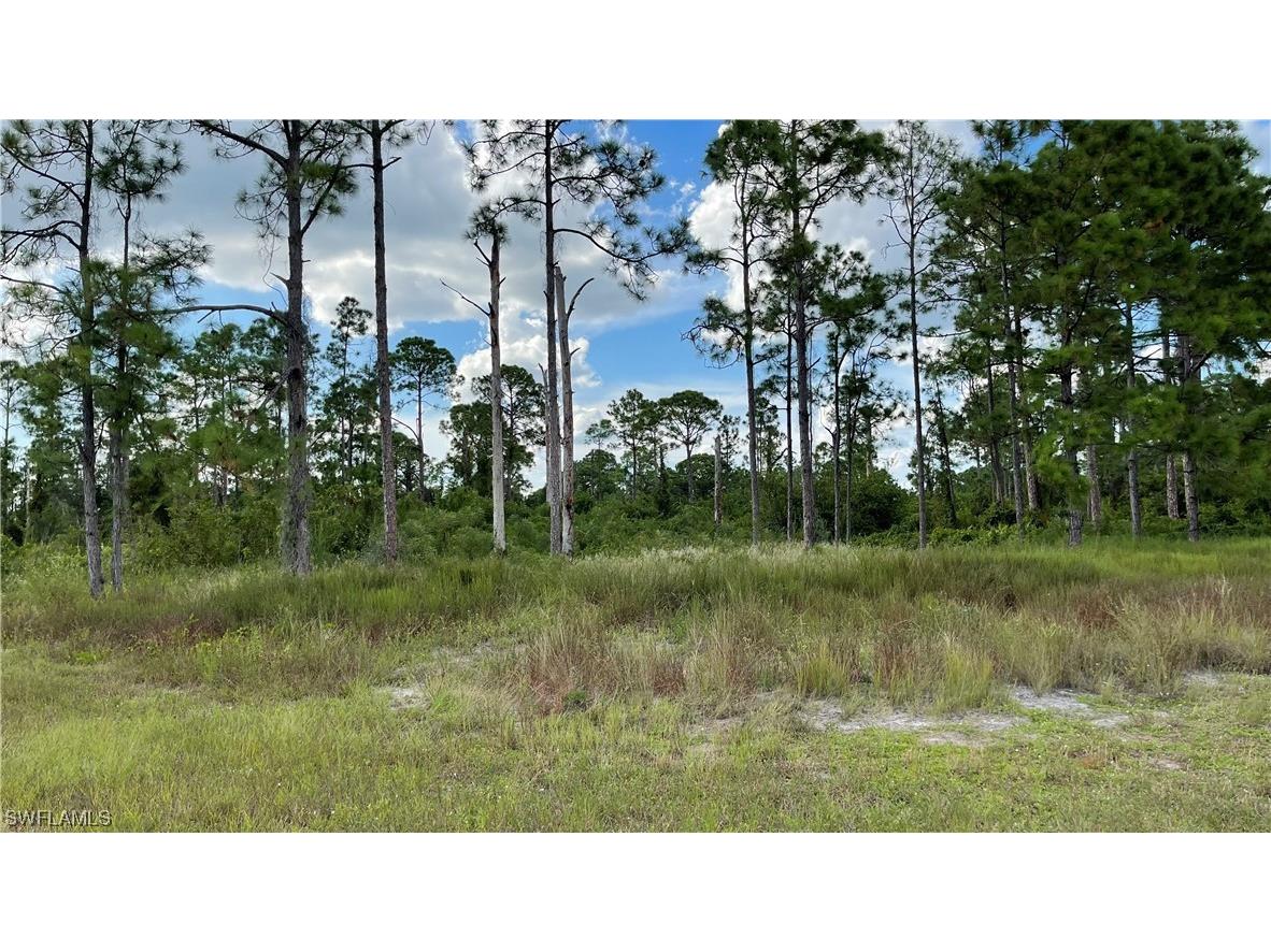 1021 Lakeside Drive Lehigh Acres FL 33974 223066543 image1