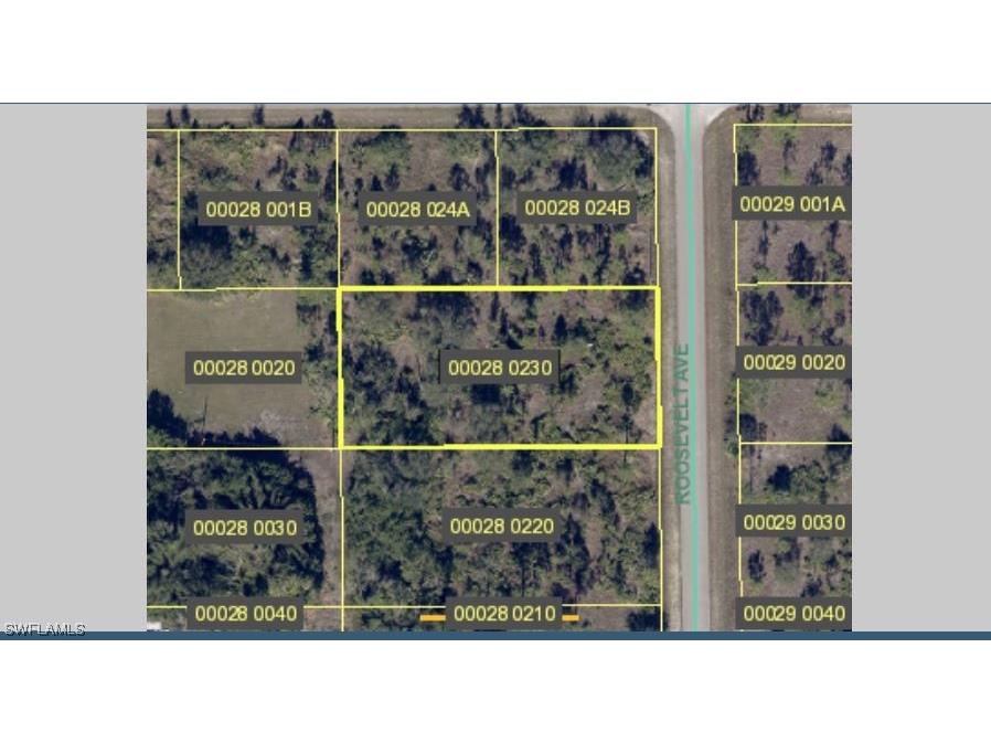 1021 Roosevelt Avenue Lehigh Acres FL 33936 223037649 image1