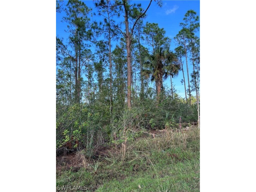 1021 Desoto Lehigh Acres FL 33972 222084575 image1