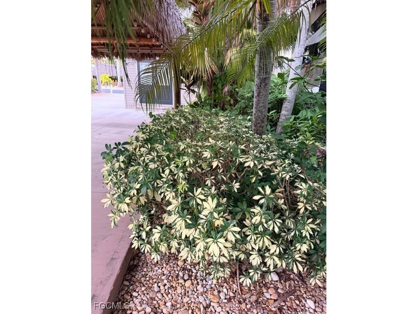 10212 Yellowtop Trail Fort Myers FL 33905 2026002333 image9