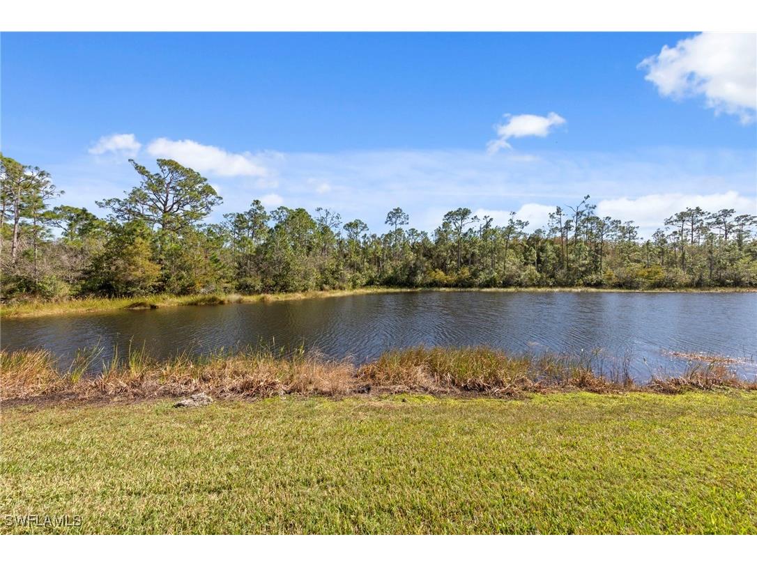 10222 Via Colomba Circle Fort Myers FL 33966 225078903 image17