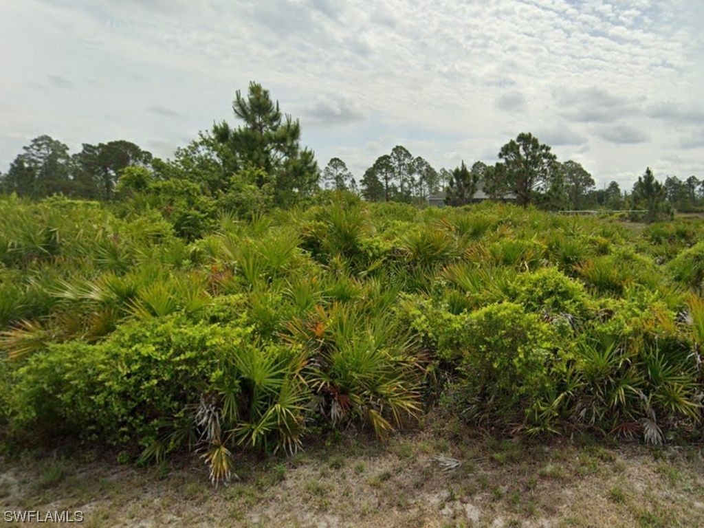 1023 Bank Avenue S Lehigh Acres FL 33974 223056119 image1