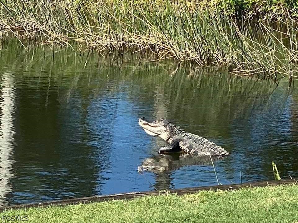 10230 Washingtonia Palm Way #1916 Fort Myers FL 33966 2026009105 image47