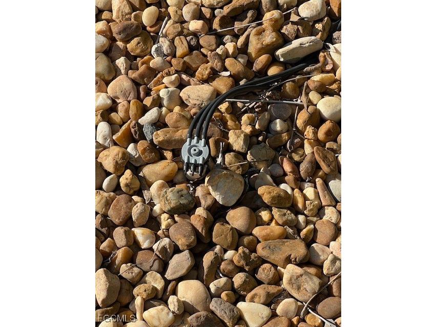 10232 Meadow Beauty Trail Fort Myers FL 33905 2025003286 image37