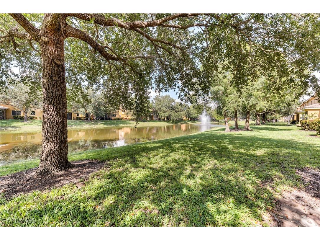 10241 Olivewood Way #150 Estero FL 33928 225063185 image44