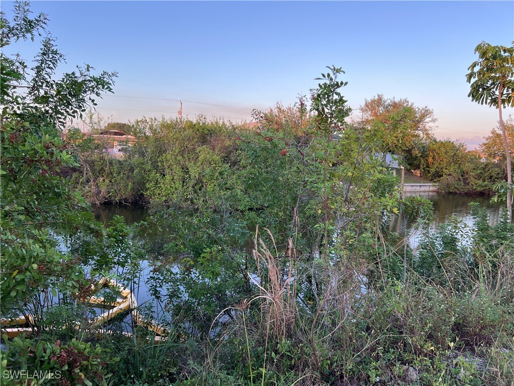 1025 NE 15th Terrace Cape Coral FL 33909 224091163 image3