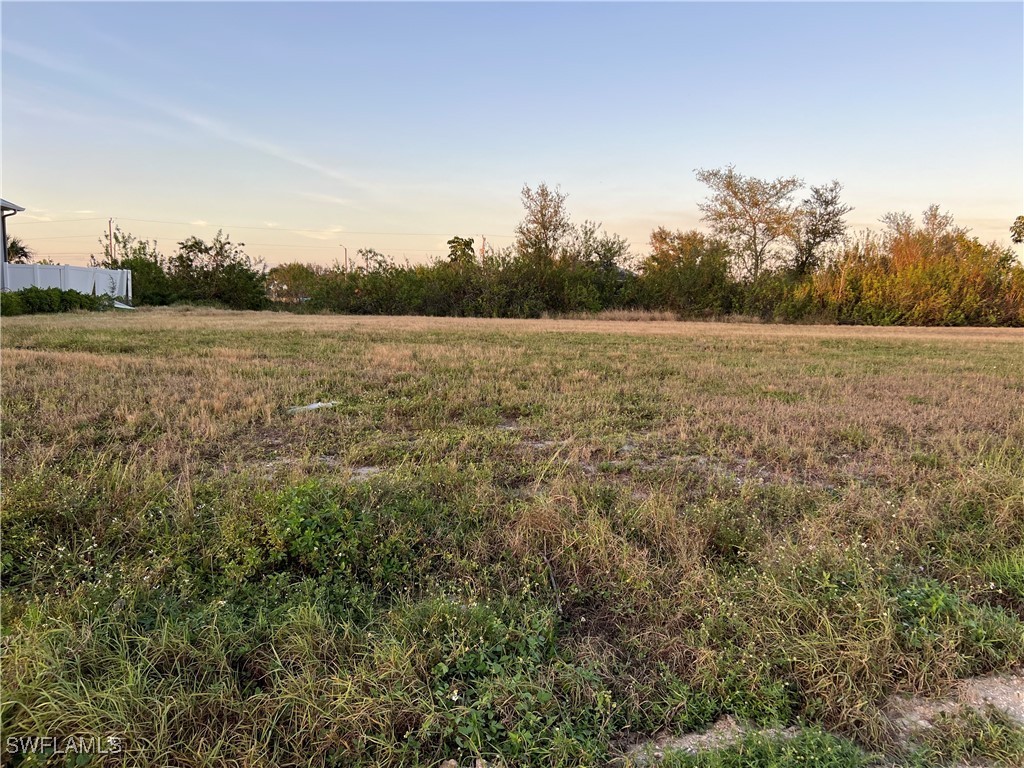 1025 NE 15th Terrace Cape Coral FL 33909 224091163 image5