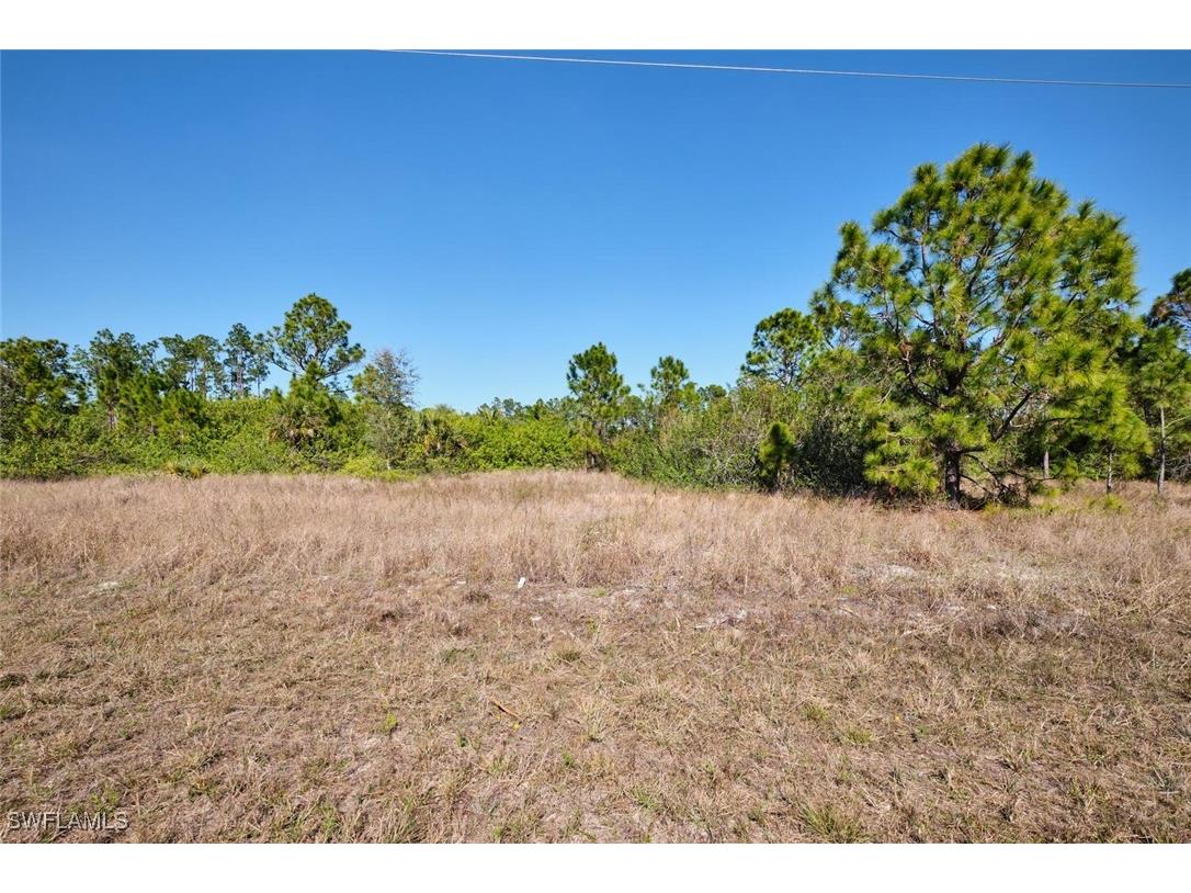 1025 Winters Street E Lehigh Acres FL 33974 225010065 image1