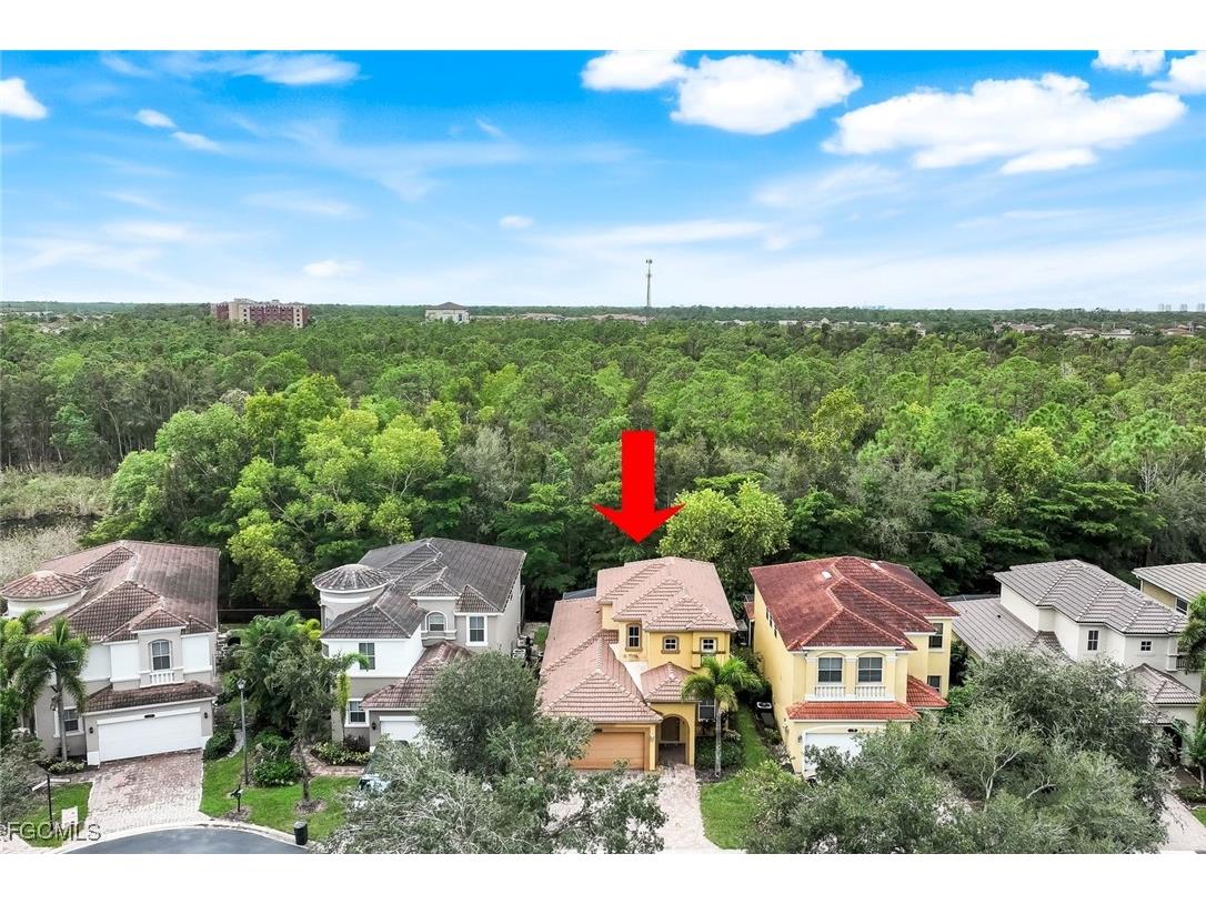 10253 S Silver Palm Drive Estero FL 33928 2025016413 image28