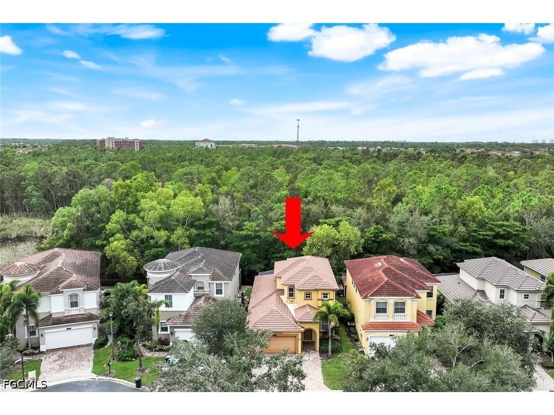 10253 S Silver Palm Drive Estero FL 33928 2026014478 image29