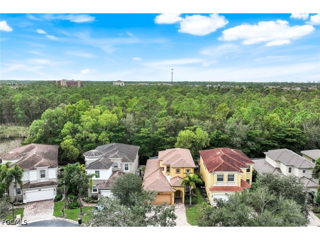 10253 S Silver Palm Drive Estero FL 33928 2026014478 image30