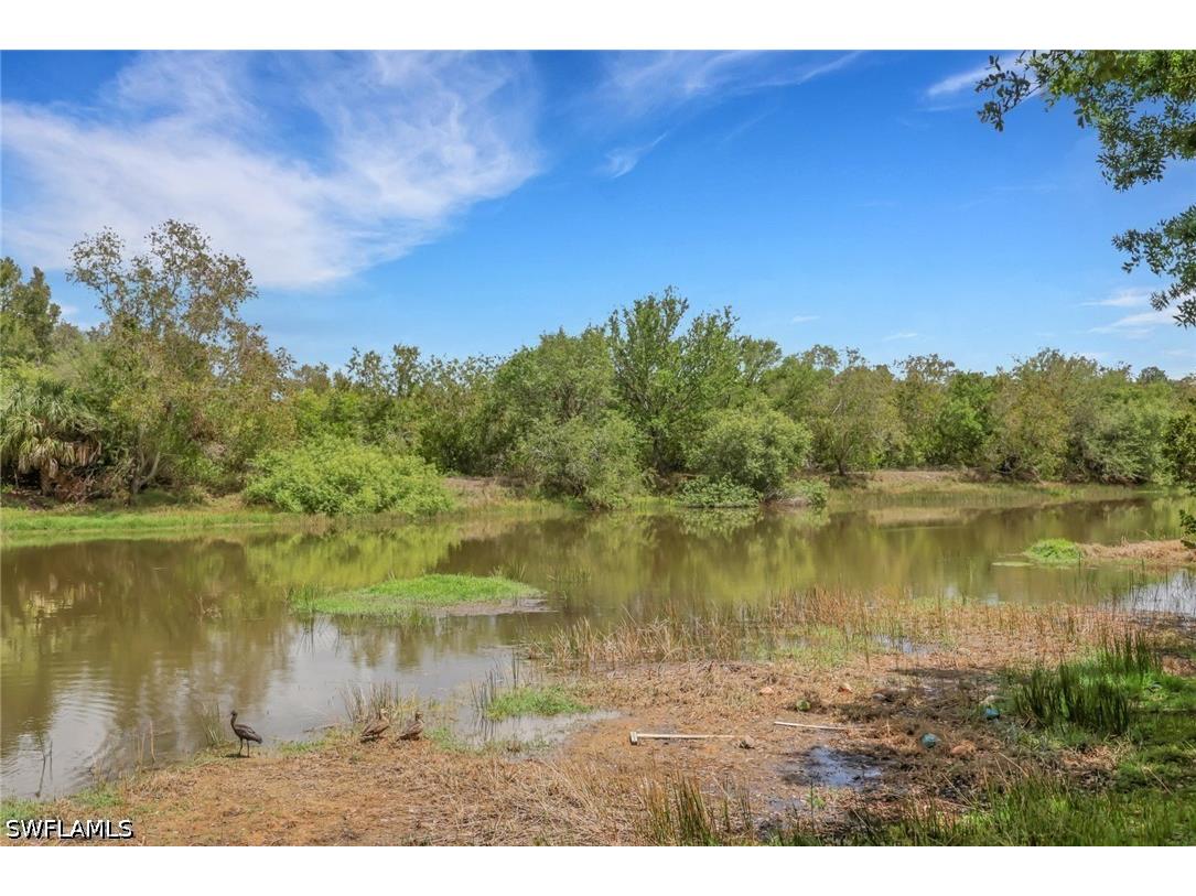 10260 Olivewood Way #58 Estero FL 33928 226014221 image26