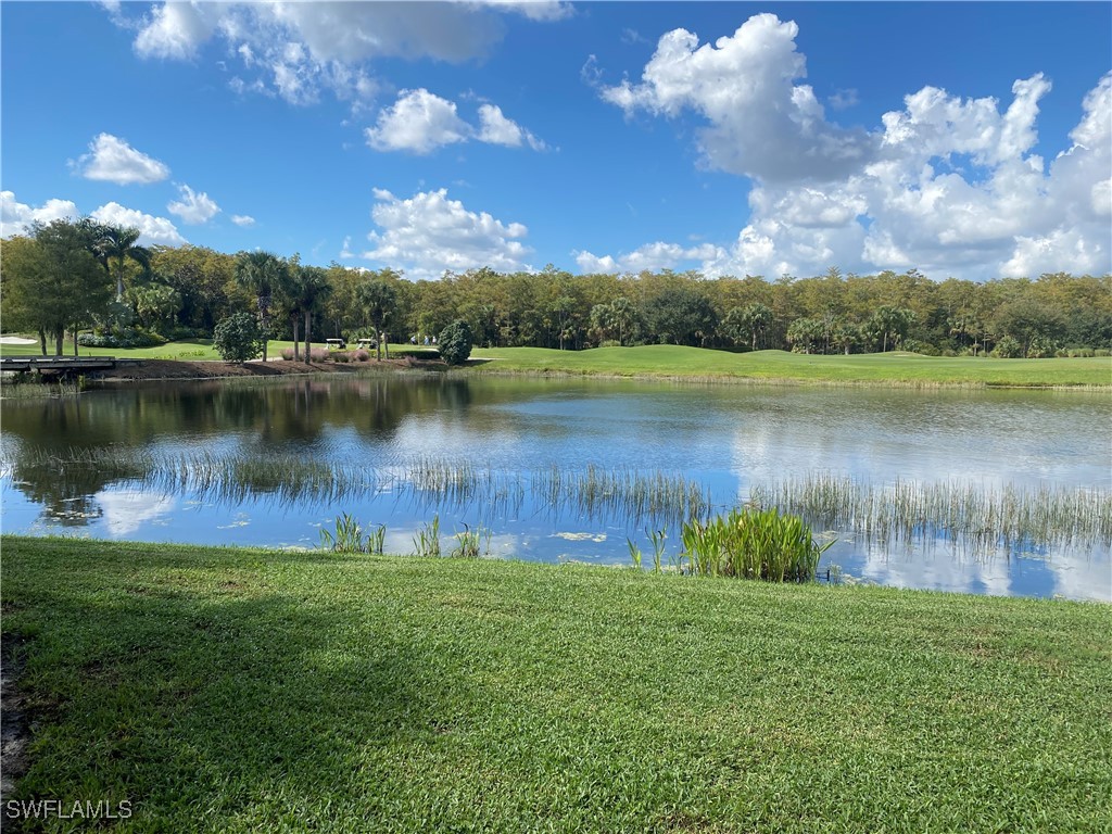 10265 Heritage Bay Boulevard #615 Naples FL 34120 225075317 image12