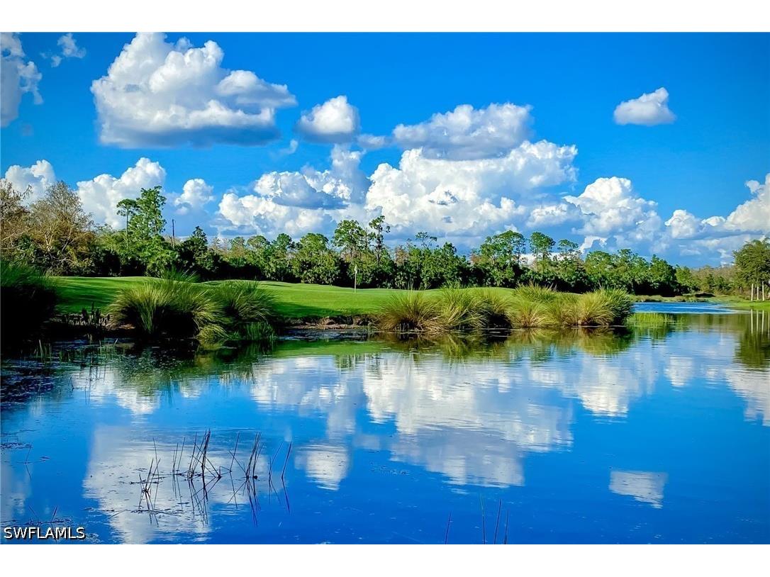 10270 Heritage Bay Boulevard #3425 Naples FL 34120 226016578 image37
