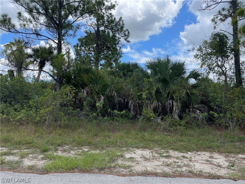 1028 Butler Street E Lehigh Acres FL 33974 222054968 image1