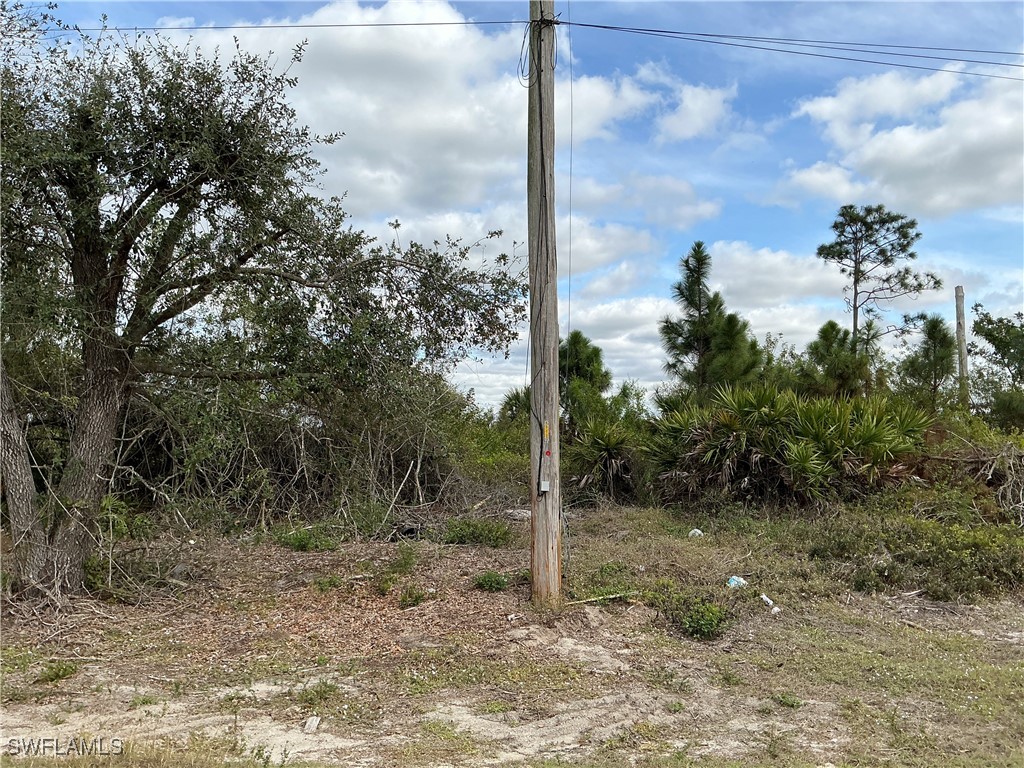 1029 Naples Avenue S Lehigh Acres FL 33974 225031843 image1