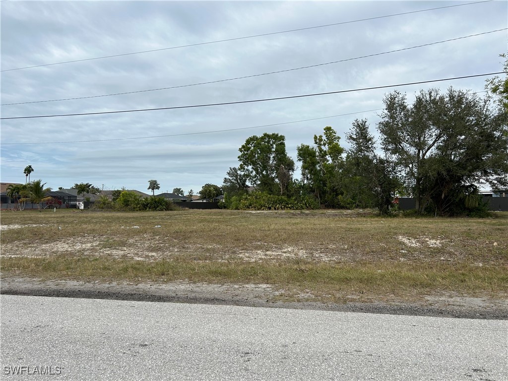 1029 SW 4th Terrace Cape Coral FL 33991 225005304 image1