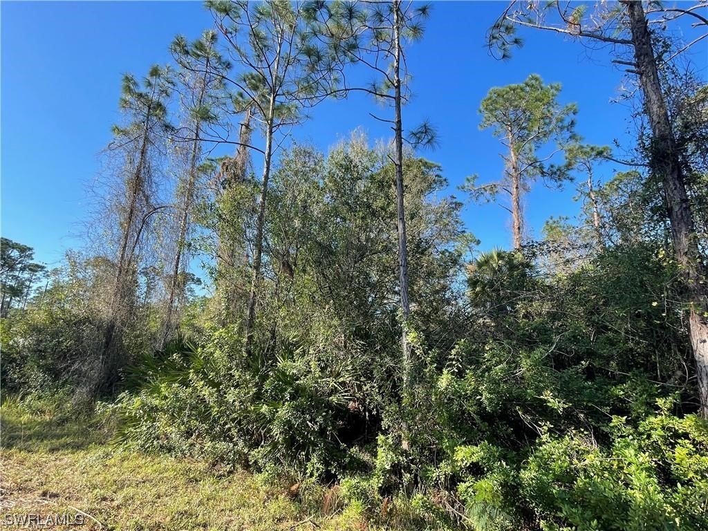 103 Truman Avenue Lehigh Acres FL 33936 223063869 image1