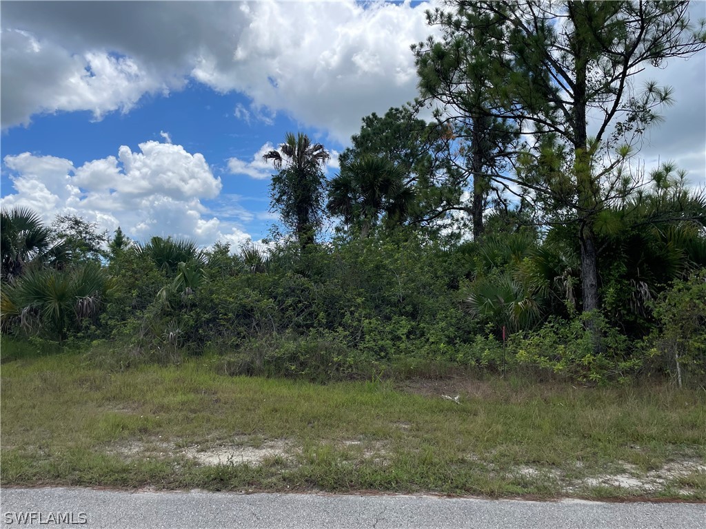 1030 Butler Street E Lehigh Acres FL 33974 222054971 image1