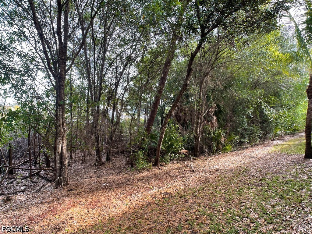 10302 Via Colomba Circle Fort Myers FL 33966 2026022385 image14