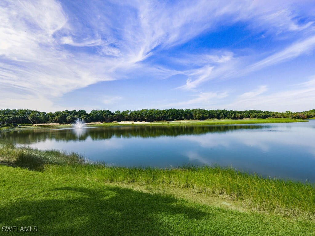 10304 Porto Romano Drive Miromar Lakes FL 33913 225083480 image25