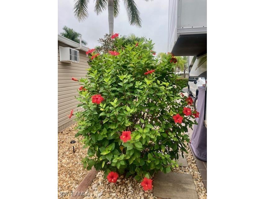 10309 Fire Flag Trail Fort Myers FL 33905 225035598 image19