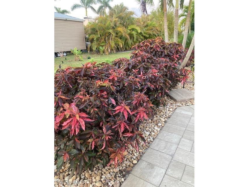 10309 Fire Flag Trail Fort Myers FL 33905 225035598 image20