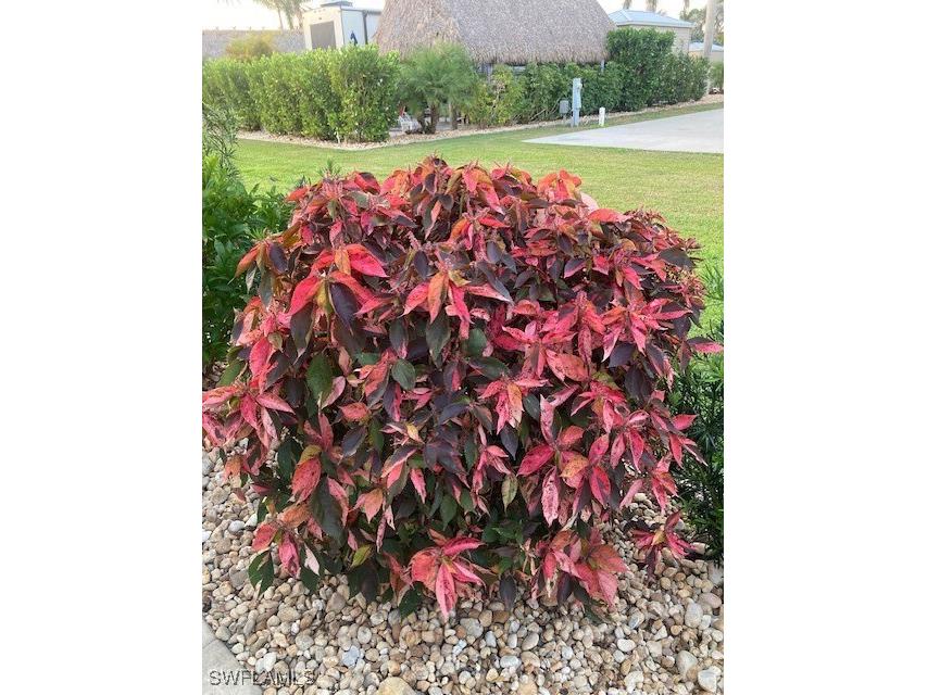 10309 Fire Flag Trail Fort Myers FL 33905 225035598 image21