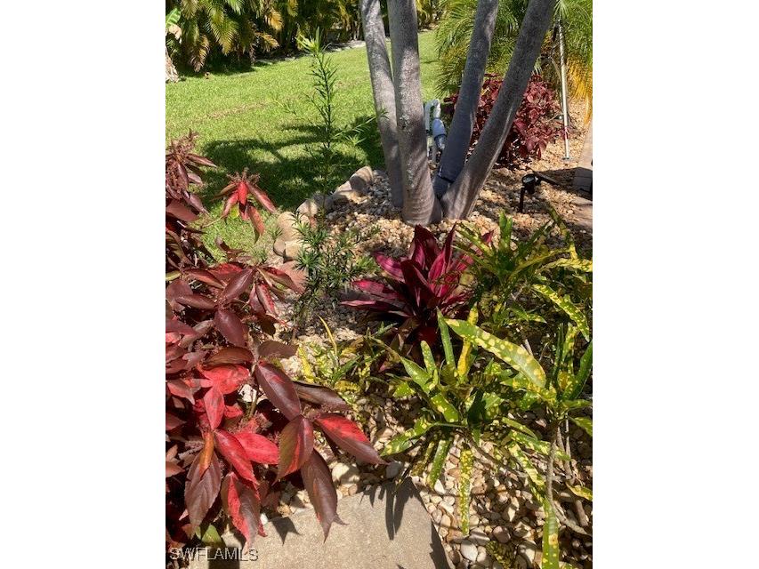 10309 Fire Flag Trail Fort Myers FL 33905 225035598 image26