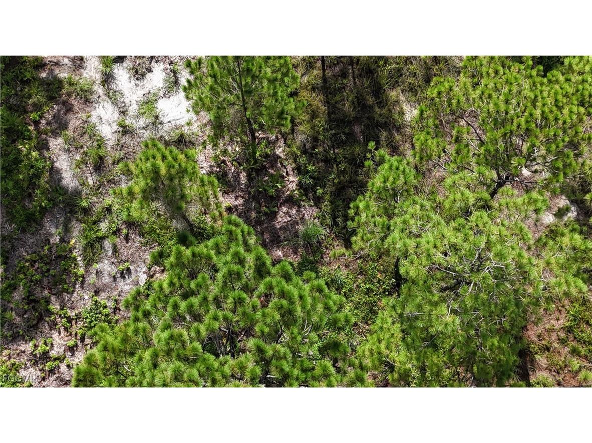 1031 Card Street E Lehigh Acres FL 33974 2025010136 image5