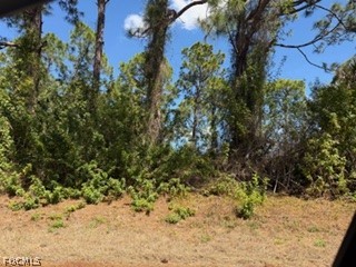1031 Maddock Street E Lehigh Acres FL 33974 2026012148 image2
