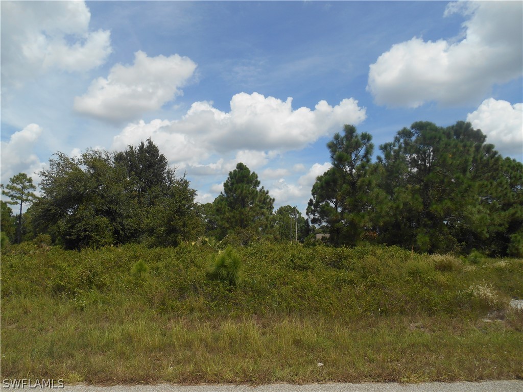 1031 Plymouth Street E Lehigh Acres FL 33974 222064923 image2