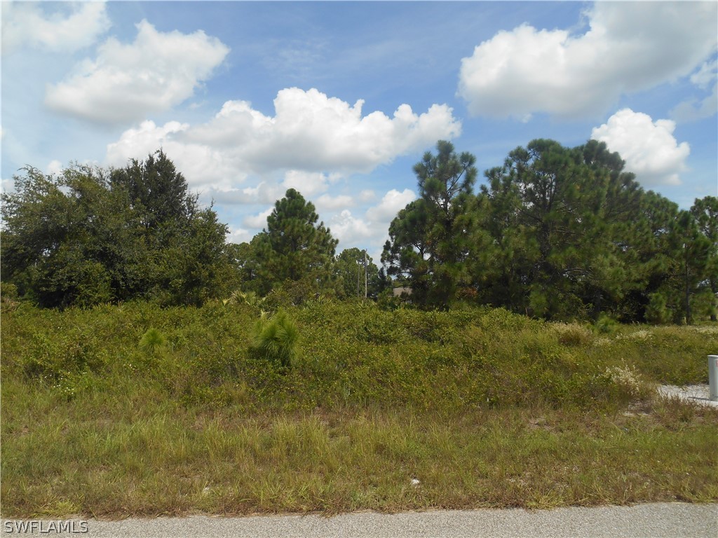 1031 Plymouth Street E Lehigh Acres FL 33974 222064923 image6